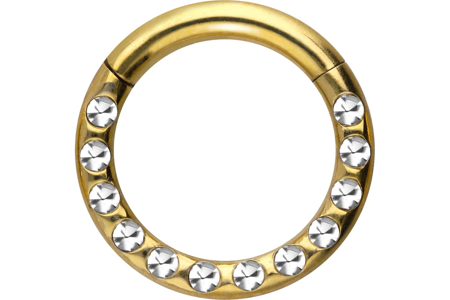 Chirurgenstahl Segmentring Clicker Piercing KRISTALLE + EPOXY ++SALE++